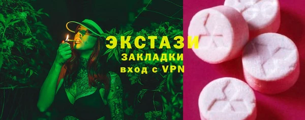 тгк Инсар