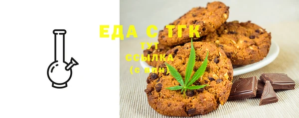 тгк Инсар