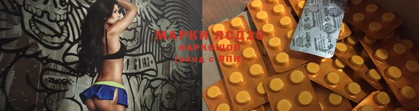 тгк Инсар