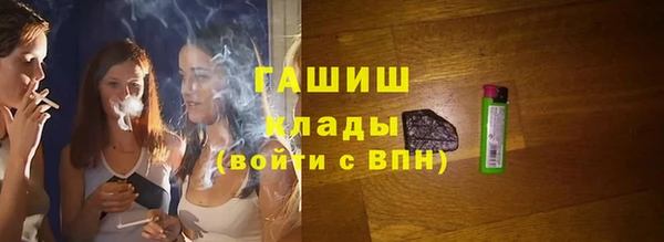 тгк Инсар