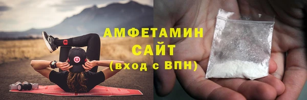 тгк Инсар