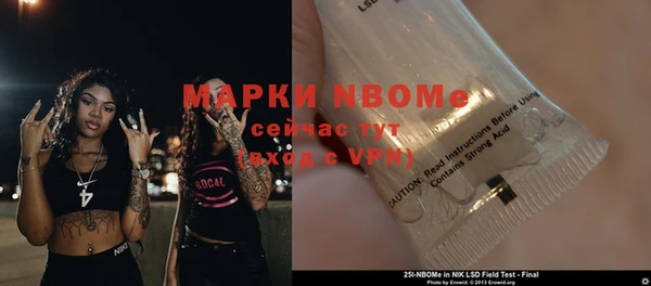 тгк Инсар