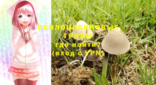 гашишное масло Инта