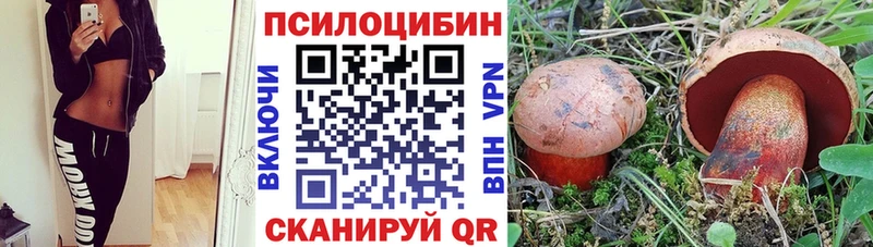 Галлюциногенные грибы мухоморы  Купить  Ардатов 